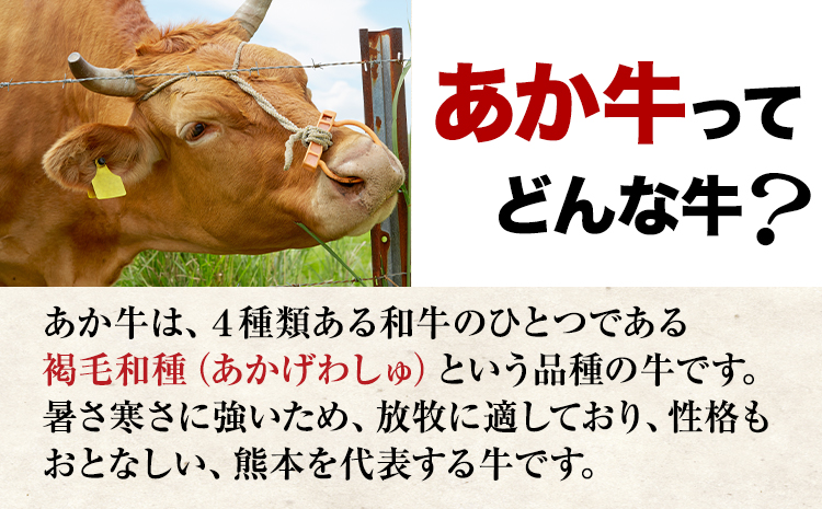 ハンバーグ 【6ヶ月定期便】【希少和牛】 あか牛ハンバーグ 150g×10個 長洲501 肉 《お申込み月の翌月から出荷開始》---sn_f501akhbtei_23_73500_mo6num1---