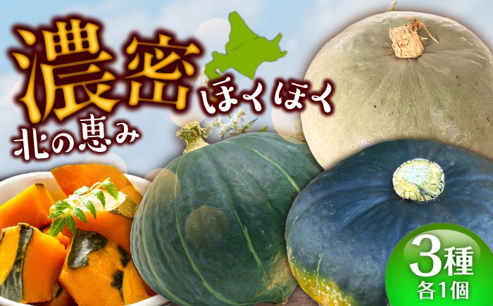 
                  【先行予約】北海道 かぼちゃ ダークホース・とっておき・特濃こふき 3種類×1個 【9月中旬以降発送】《足寄町》【足寄アグリバイオ株式会社】 かぼちゃ カボチャ 南瓜 kabotya ダークホース とっておき 特濃こふき ハロウィン グラタン スープ 旬 新鮮 北海道産 道産 寒冷地 あしょろ 8000 8000円  [BEAC012]
                
