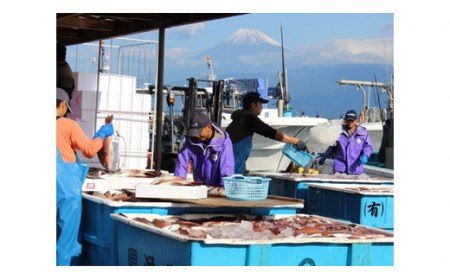 【価格改定予定】鯛 カマ 約 150g 8パック 計1.2kg マダイ 真鯛