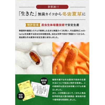 ふるさと納税 合志市 【峯王】冬虫夏草(24.6g(205mg×120粒)) |  | 03