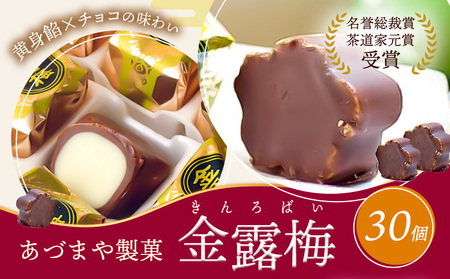 【9月30日受付終了】 和菓子 黄身餡子 チョコレート 金露梅 30個 