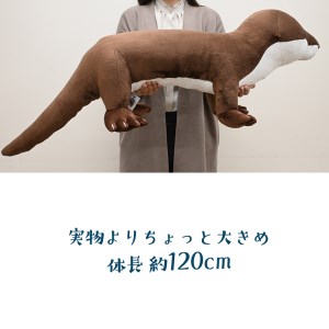 ぬいぐるみ カワウソ XL アクアワールド 大洗 オリジナル グッズ 特大 120cm 茨城 水族館 カナダカワウソ かわうそ 限定