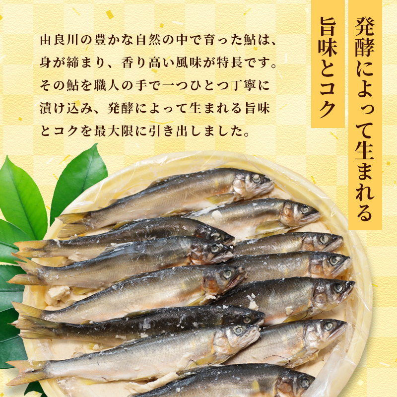 天然鮎の粕漬け 6匹 【 由良川漁協 あゆ 鮎 アユ 魚 魚介 川魚 海鮮 漬け魚 粕漬け 酒粕 天然 大人 贅沢 おつまみ 酒の肴 珍味 舞鶴 京都 】 