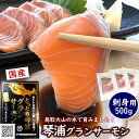 【ふるさと納税】国産 琴浦グランサーモン刺身用　小分け500g（3～5パック） 無投薬養殖で安心 | 魚 お魚 さかな 食品 人気 おすすめ 送料無料