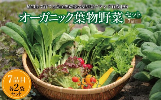 
            【セット】オーガニック葉物野菜セット【植物性肥料と植物性追肥を使って育てた葉野菜ブランド】葉野菜７品目×2パック
          