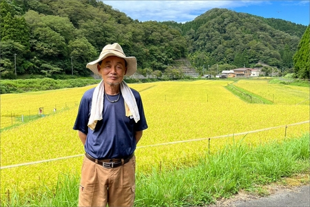 京丹後・野間産　田渕さんちのおいしいお米 個包装 2合×6袋入