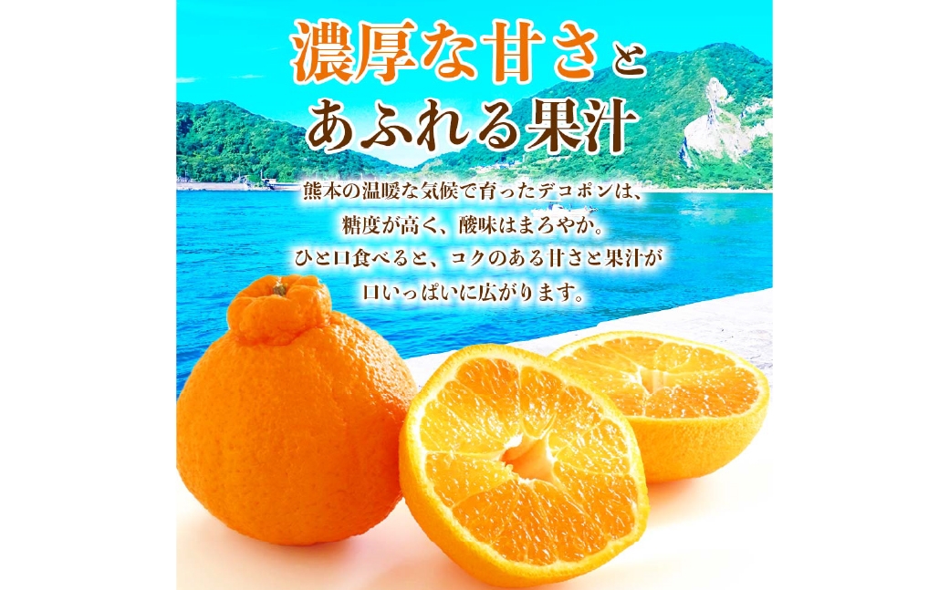 デコポン6〜13玉約3kg