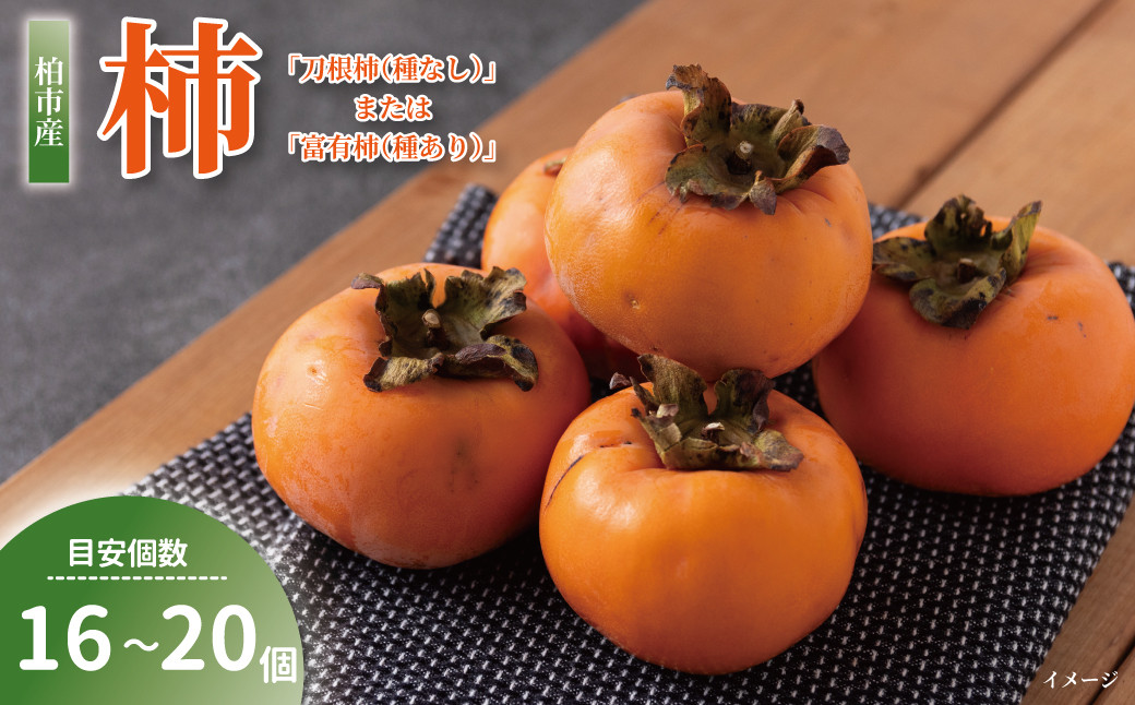 
柏市産　柿　2.5kg
