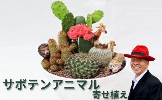 
サボテンアニマル寄せ植え [№5787-0141]

