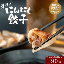 【ふるさと納税】発芽にんにく餃子30個入り3パック にんにく にんにくたっぷり 国産にんにく 発芽にんにく 冷凍 臭わない おつまみ おかず 総菜 餃子専門店 ぎょうざ 工場直売 まとめ買い　 海津市