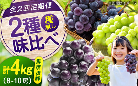 ぶどう【全2回定期便】ピオーネ マスカット 各2kg（計2種）[BAEV014] ぶどう