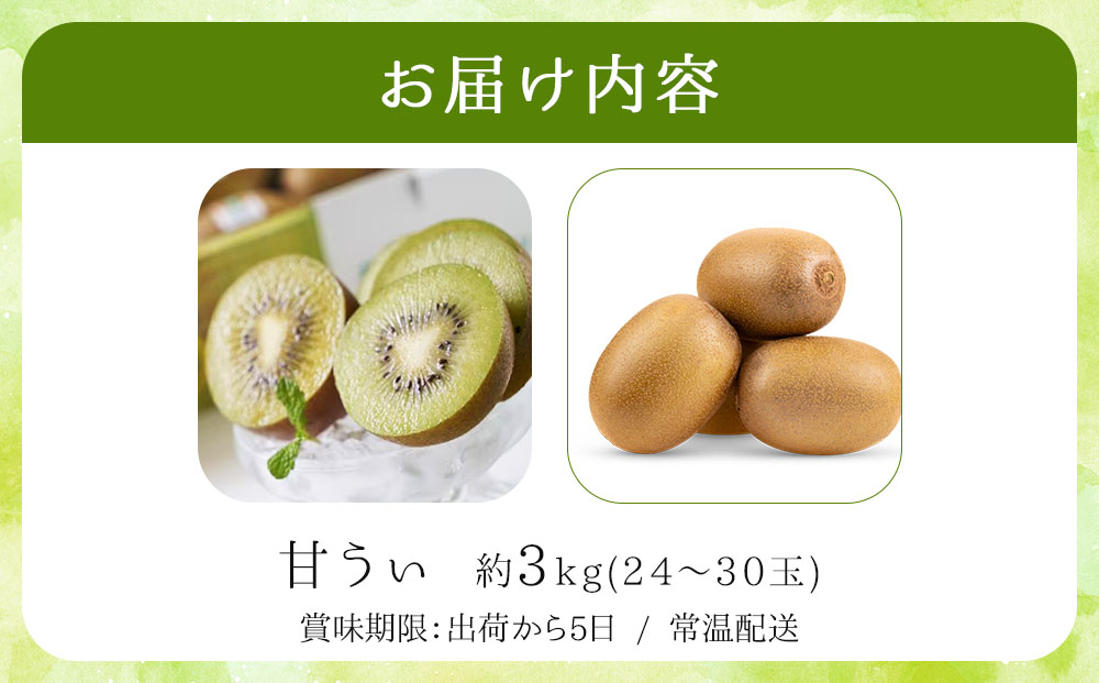 【先行予約】福岡限定!ブランドキウイ「甘うぃ(あまうぃ)」約3kg箱(24-30玉)(篠栗町)【NF006】