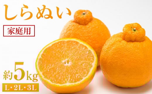 
            しらぬい 約5kg（家庭用）【2026年2月から発送】【不知火 柑橘 フルーツ 果物 くだもの 食品 人気 おすすめ 広島県 尾道市】
          
