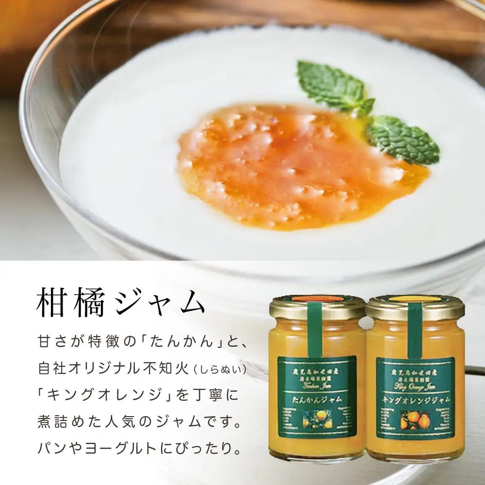 柑橘ジャム＆シロップ４本セット ＜タンカン・キングオレンジ＞ フルーツシロップ 柑橘 果物 フルーツ ジュース フルーツソース ドリンク ジュース 炭酸割り ハイボール カクテル かき氷 ヨーグルト 