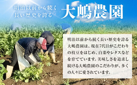 【先行予約】茨城県結城市産枝豆「湯あがり娘」3kg（茶豆味）