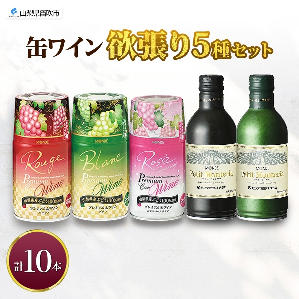 缶ワイン 欲張り 5種 飲み比べ セット 各2本 計10本 飲み比べ モンデ酒造 赤 ロゼ 白 ブラン 酒 お酒 贈答 ギフト 晩酌 宅飲み 家飲み キャンプ BBQ バーベキュー パーティー アウトドア 送料無料 山梨県 笛吹市  177-4-174