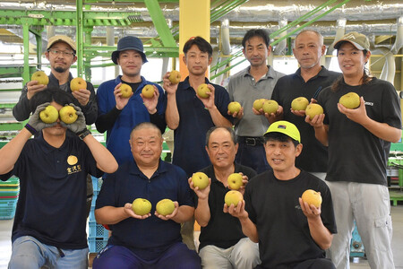 梨 【2026年予約受付】金沢梨 5kg JA金沢市 