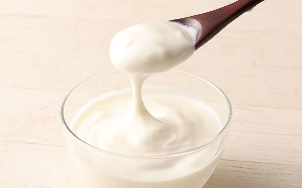 【定期便2回】球磨の恵みヨーグルト（加糖） 2kg（1kg×2パック）