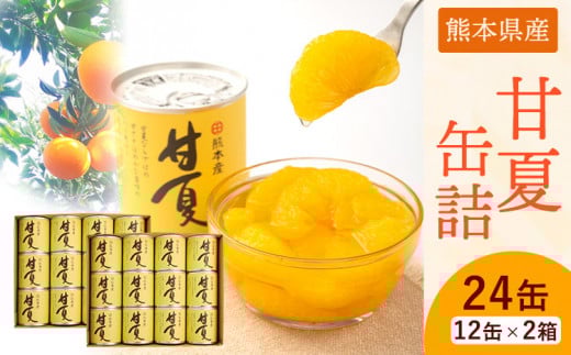 甘夏缶詰24缶入り (12缶×2箱)《60日以内に出荷予定(土日祝除く)》熊本県 葦北郡 津奈木町 あしきた農業協同組合 JAあしきた 柑橘 甘夏 あまなつ フルーツ 果物 缶詰 送料無料