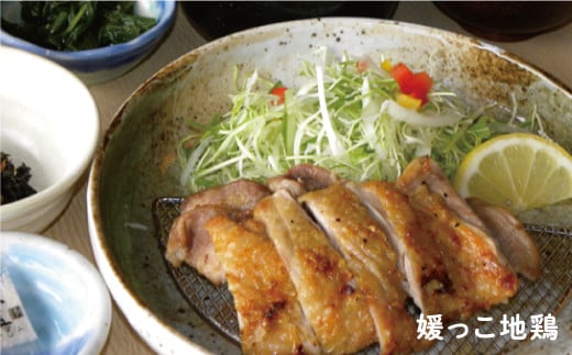 ゆらり内海 お食事券 12000円 分 （ 入浴料 込み）40000円 商品券 道の駅 買い物券 お食事券 宇和海 愛媛県 愛南町 ブランド スマ 牡蠣 甘とろ豚 びやびや かつお うに 鰹 ウニッコ