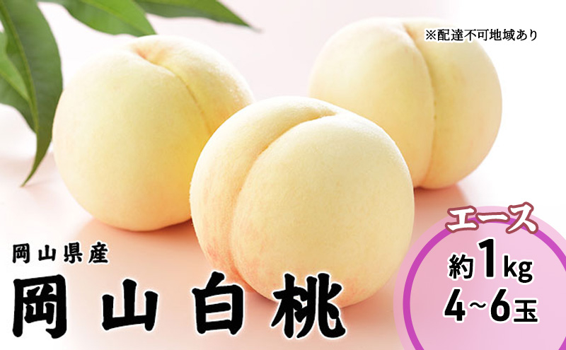 
                  桃 2026 年先行予約 岡山 白桃 エース 4～6玉 1kg 岡山県産 JAおかやまのもも モモ 岡山県産 国産 フルーツ 果物 ギフト 
                