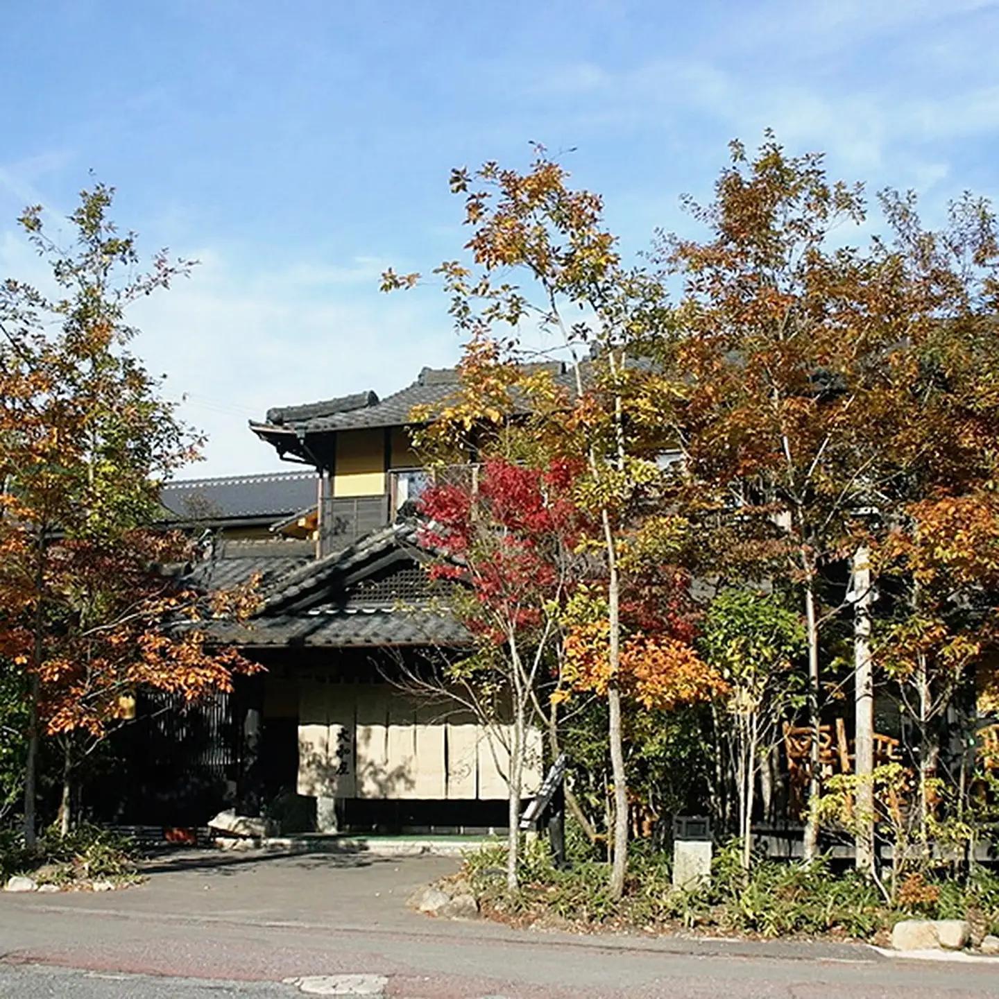 古湯・熊の川温泉　大和屋　宿泊券：C250-025