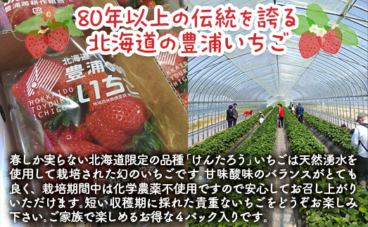 【2025.4月下旬以降出荷】豊浦いちご　250ｇ×4パック ふるさと納税 人気 おすすめ ランキング 果物 いちご苺 イチゴ 国産いちご 国産苺 けんたろう セット おいしい 美味しい 北海道 豊浦