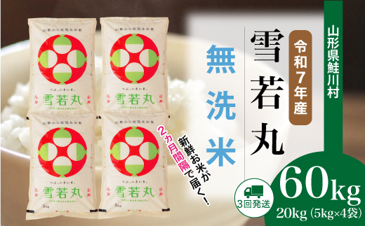 ＜令和7年産米＞ 令和8年5月上旬より配送開始 雪若丸【無洗米】60kg定期便(20kg×3回)　鮭川村