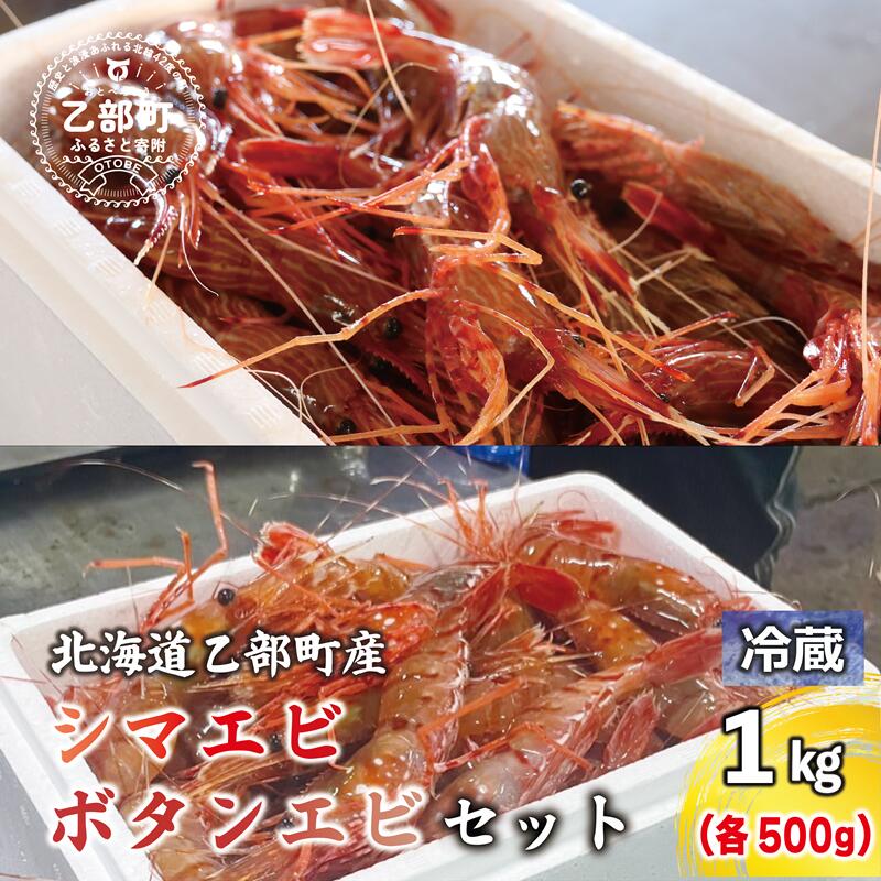 【ふるさと納税】＜ボタンエビ・シマエビ(冷蔵) 1kg(各500g)＞北海道乙部町産 北海道 道産 国産 乙部町産 シマエビ ボタンエビ 海老 日本海 天然 魚介類 新鮮 希少 お刺身 エビチリ 漁師直送 産地直送 送料無料