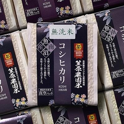 ふるさと納税 南魚沼市 令和7年産　南魚沼産　笠原農園米　コシヒカリ無洗米真空パック(450g×20個)
