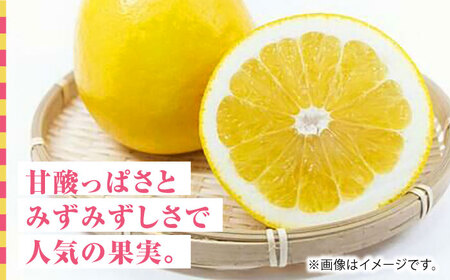 【先行予約】【数量限定】ジューシー オレンジ 約10kg M~4Lサイズ【くまふる】[ZBG012]