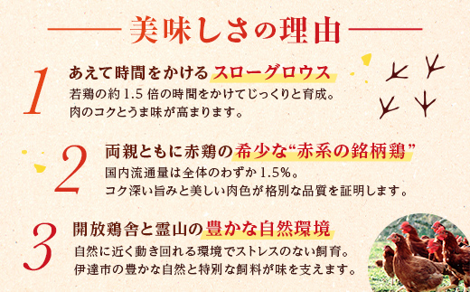 福島県 伊達市産 旨味と肉質がしっかり！ 伊達鶏 手羽元 4kg (2kg×2)  銘柄鶏  ブランド鶏 鶏肉 手羽 とり肉 だてどり ブランド鶏  おつまみ 鶏 チキン 肉 食品 F20C-231
