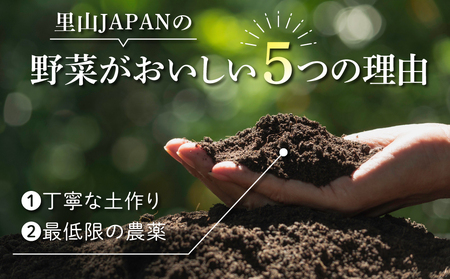 【里山JAPAN】長野県東御市産生きた土壌で育った『季節の野菜セット』（５〜７品目）