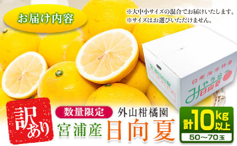 先行予約 訳あり 宮浦産 日向夏 計10kg以上 期間限定 数量限定 フルーツ 果物 くだもの 柑橘 みかん 令和8年発送 国産 産地直送 新鮮 食品 ジュース デザート フルーツサンド おやつ ご褒