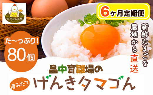 
【6ヶ月定期便】畠中育雛場のげんきタマゴん 80個 6回お届けで計480個！《お申込み月の翌月から出荷開始》福岡県 鞍手郡 小竹町 卵 送料無料 有限会社畠中育雛場
