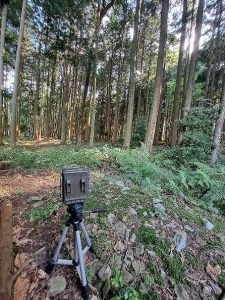 【家族で楽しむ】野生動物に出会える　丹波篠山だけの自然体験 CW026