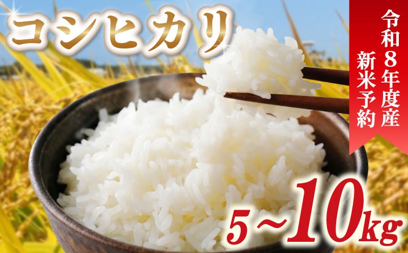
                  令和8年産 新米 米 コシヒカリ 5kg ～ 10kg 先行予約 精米 白米 新米5kg 新米10kg 2026年度 8年産 お米 ご飯 こめ コメ kome ライス こしひかり 10000円 20000円 2026年 備蓄 防災 お弁当 産地直送 送料無料 国産 千葉県産 ふるさと納税 千葉県 旭市 小島農園 kjm
                