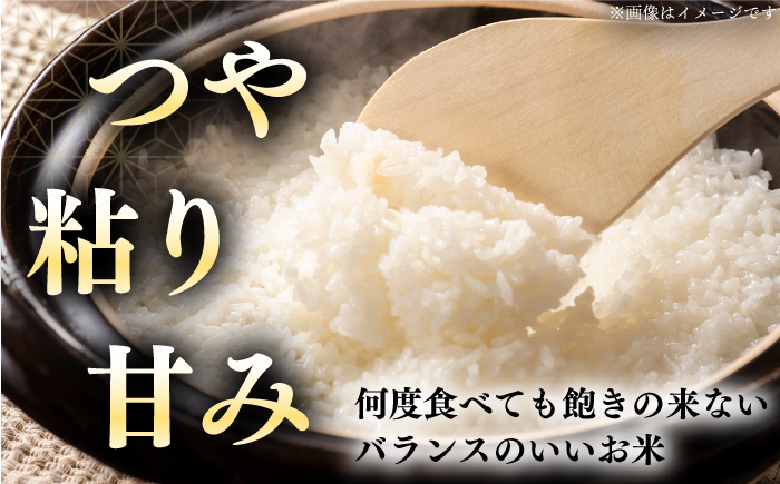 【全3回定期便】【令和6年産新米】たんとう米（ななつぼし）5kg《厚真町》【とまこまい広域農業協同組合】 米 お米 白米 ご飯 ななつぼし 北海道 定期便[AXAB019]