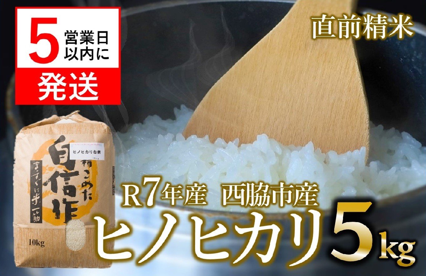 
                  【スピード発送】ヒノヒカリ 5kg 白米 令和7年産 米 お米 5kg 米5kg 兵庫県産 ひのひかり ヒノヒカリ 西脇市産 R7年産 2025年産 精米
                