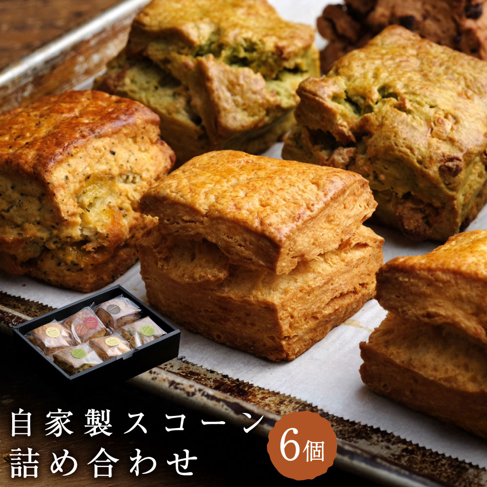 【ふるさと納税】自家製スコーン 詰め合わせ 約100g×6個入り 計約600g スコーン 深蒸し緑茶 ホワイトチョコレート 季節のフルーツ ナッツ 発酵バター 朝食 軽食 おやつ スイーツ 焼菓子 焼き菓子 セット お取り寄せ 静岡県 菊川市 送料無料