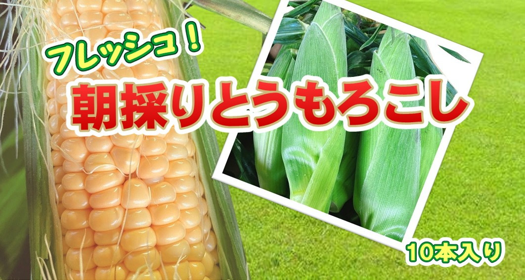 
            【予約受付 2025年7月中旬頃～発送開始予定】北上産のとうもろこし　10本
          