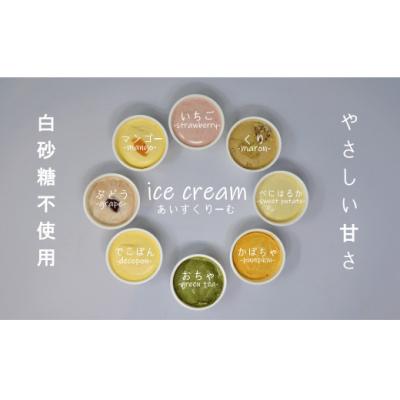 ふるさと納税 錦江町 ご当地アイスセット(No.1018-1)