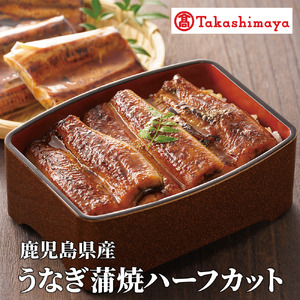 ＜高島屋選定品＞鹿児島県産うなぎ蒲焼ハーフカット(70g×10枚) (TK040-1930)
