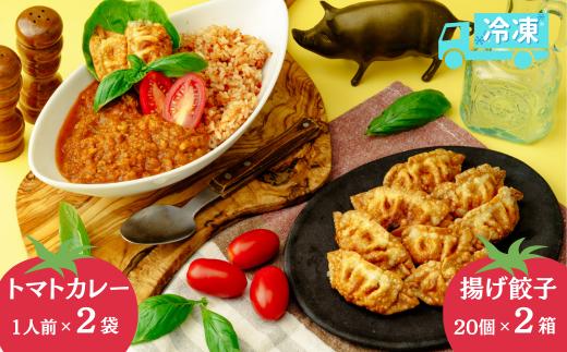 揚げ 餃子 北本トマトカレー セット 餃子40個 +カレー2人前 | ギョウザ 冷凍餃子 ギョーザ 冷凍ギョウザ 冷凍ぎょうざ ぎょうざ ぎょーざ B級 ご当地 グルメ王 入賞 トマト トマトカレー カレー ご当地カレー 冷凍カレー 手軽 食べ比べ 大家族 美味しい おやつ おつまみ 国産野菜 お手軽 大容量 中華 簡単調理 惣菜 北本フーズ 埼玉県 北本市