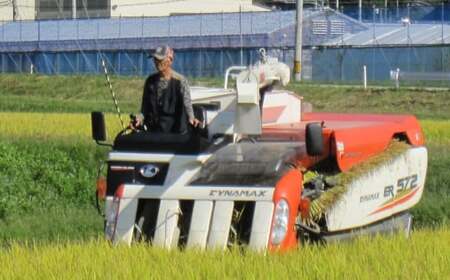 【新米 先行予約】令和7年産 ひとめぼれ 白米 5kg 【 米 お米 精米 ふっくら もっちり 数量限定 人気 ギフト 贈答品 岩手県産 清水農園 】2025年10月中旬頃から発送予定 RT2823