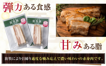 放牧豚 ベーコンブロック 計360g（180g×2） 無添加 無塩せき 発色剤不使用 北海道 [AXBA112]