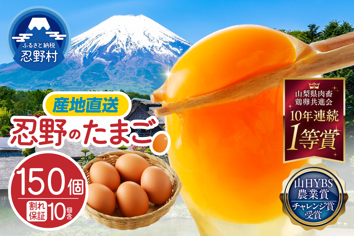 【11月配送分】富士山の麓で育った産地直送 ”忍野の卵”※卵140個+割れ保証10個　計150個