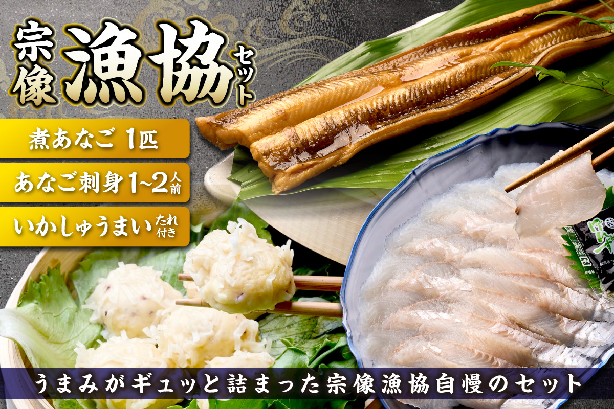宗像漁協セット（いかしゅうまい、あなご刺身、煮あなご）【宗像漁協】_HA1519