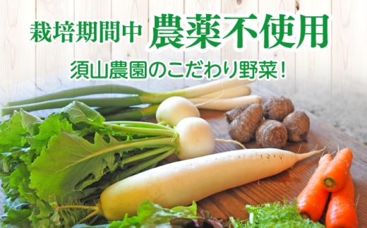 【先行予約】【2027年1月以降発送開始】【全12回定期便】旬の野菜セットMサイズ 島根県松江市/須山農園 [ALBD010]