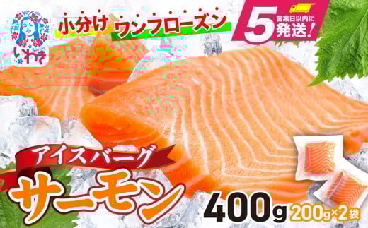 アイスバーグサーモン（アトランティックサーモン）　約400g（約200g×2袋） 刺身 フィレ 個包装 冷凍 さけ サケ 生食サーモン 鮭 魚 海鮮 手巻き寿司 海鮮丼 人気 おすすめ ノルウェー産
